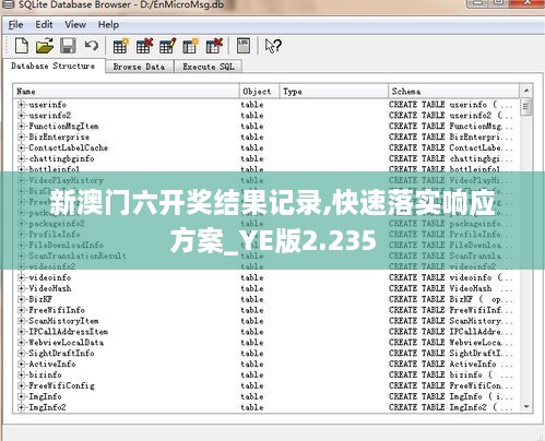 新澳门六开奖结果记录,快速落实响应方案_YE版2.235