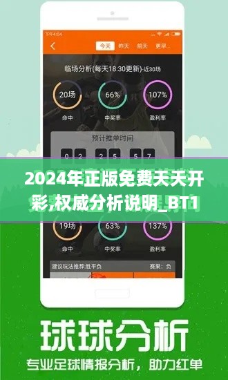 2024年正版免费天天开彩,权威分析说明_BT12.395