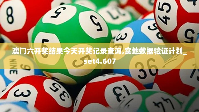 澳门六开奖结果今天开奖记录查询,实地数据验证计划_set4.607