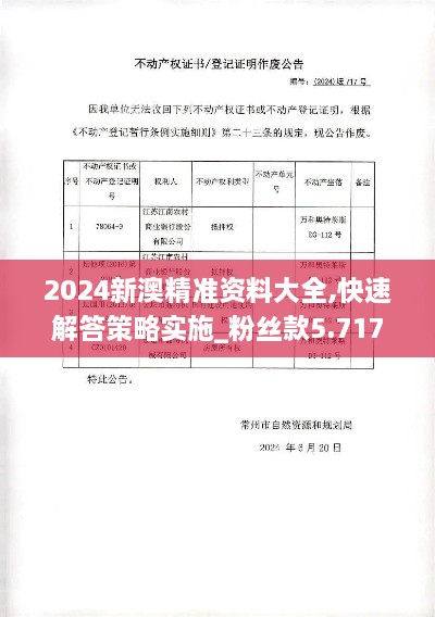 2024新澳精准资料大全,快速解答策略实施_粉丝款5.717