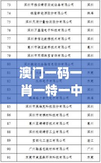 澳门一码一肖一特一中是公开的吗,精细化说明解析_XR11.605