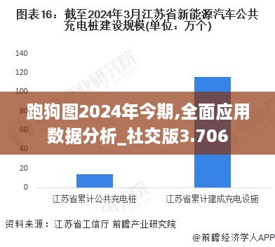 跑狗图2024年今期,全面应用数据分析_社交版3.706