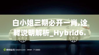 白小姐三期必开一肖,诠释说明解析_Hybrid6.791