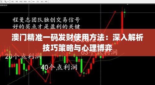 澳门精准一码发财使用方法：深入解析技巧策略与心理博弈