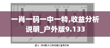 一肖一码一中一特,收益分析说明_户外版9.133