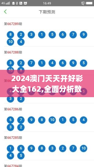 2024澳门天天开好彩大全162,全面分析数据执行_DX版14.628