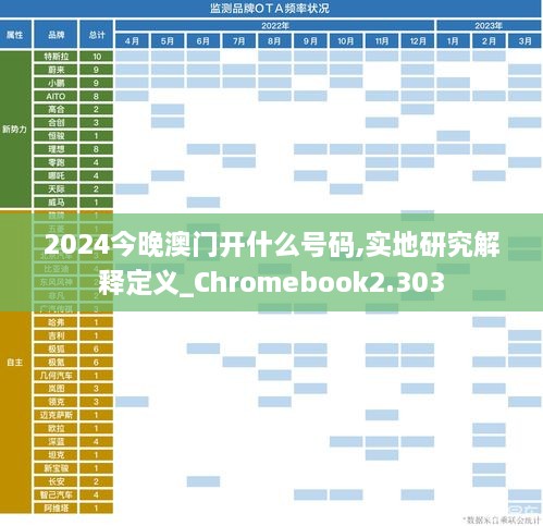 2024今晚澳门开什么号码,实地研究解释定义_Chromebook2.303