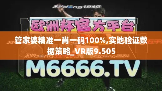 管家婆精准一肖一码100%,实地验证数据策略_VR版9.505