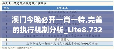 澳门今晚必开一肖一特,完善的执行机制分析_Lite8.732