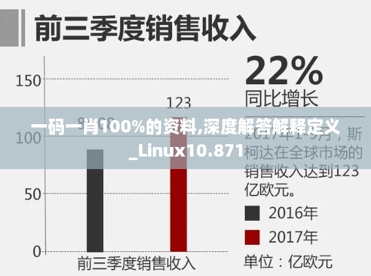 一码一肖100%的资料,深度解答解释定义_Linux10.871