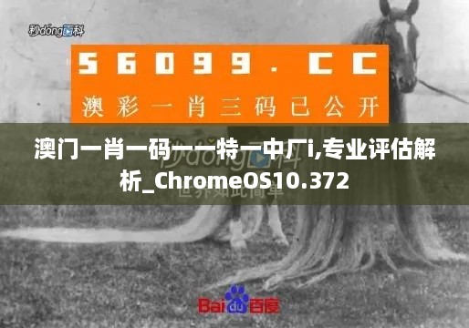 澳门一肖一码一一特一中厂i,专业评估解析_ChromeOS10.372