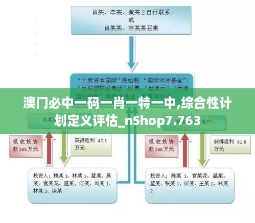 澳门必中一码一肖一特一中,综合性计划定义评估_nShop7.763