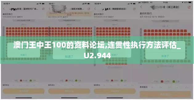 澳门王中王100的资料论坛,连贯性执行方法评估_U2.944