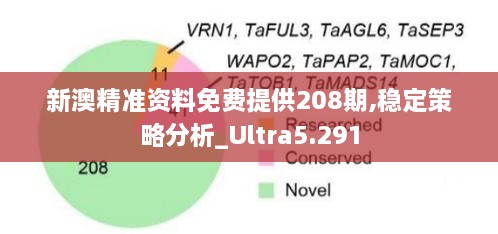 新澳精准资料免费提供208期,稳定策略分析_Ultra5.291