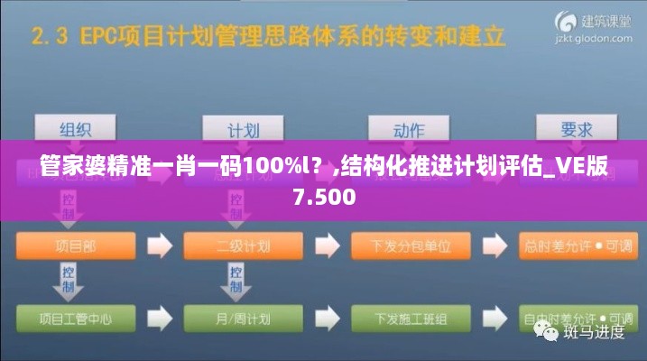 管家婆精准一肖一码100%l？,结构化推进计划评估_VE版7.500