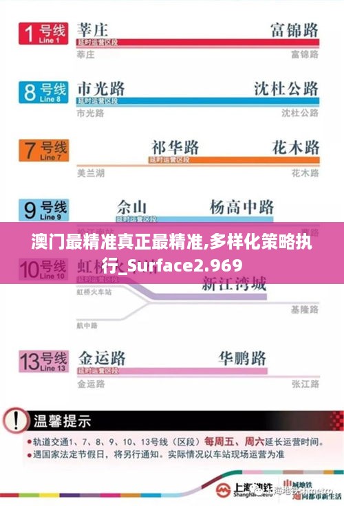 澳门最精准真正最精准,多样化策略执行_Surface2.969