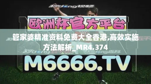 管家婆精准资料免费大全香港,高效实施方法解析_MR4.374