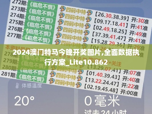 2024澳门特马今晚开奖图片,全面数据执行方案_Lite10.862