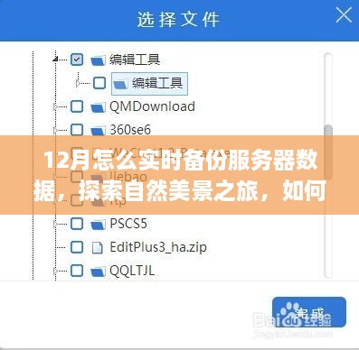 十二月服务器数据实时备份与自然美景探索，寻找内心的宁静和平和之路