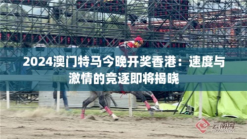 2024澳门特马今晚开奖香港：速度与激情的竞逐即将揭晓