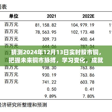 揭秘2024年12月13日股市铜市走向，洞悉变化成就投资梦想