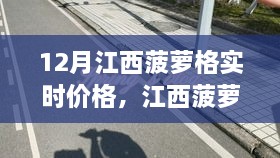 江西菠萝格市场，实时价格解析与变化中的力量与自信成就之舞