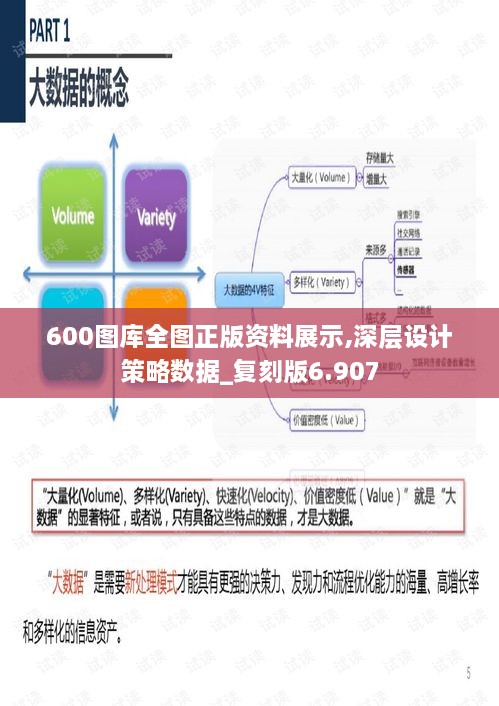 600图库全图正版资料展示,深层设计策略数据_复刻版6.907