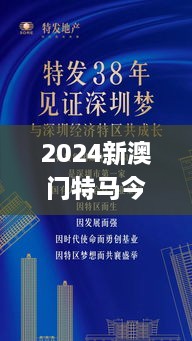 2024年12月17日 第67页