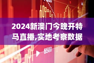 2024新澳门今晚开特马直播,实地考察数据策略_Premium10.593