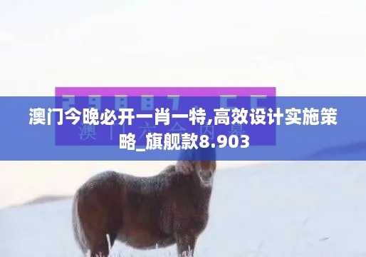 澳门今晚必开一肖一特,高效设计实施策略_旗舰款8.903