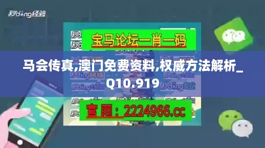 马会传真,澳门免费资料,权威方法解析_Q10.919