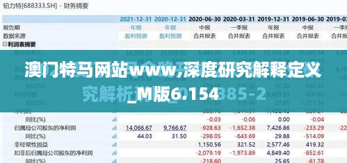 澳门特马网站www,深度研究解释定义_M版6.154