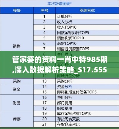 管家婆的资料一肖中特985期,深入数据解析策略_S17.555