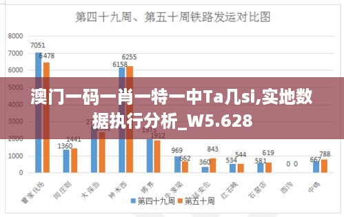 澳门一码一肖一特一中Ta几si,实地数据执行分析_W5.628