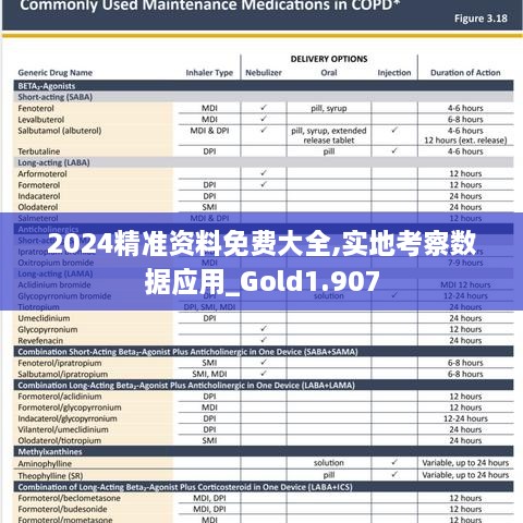 2024精准资料免费大全,实地考察数据应用_Gold1.907