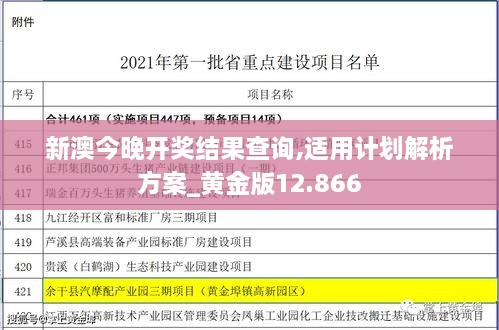 新澳今晚开奖结果查询,适用计划解析方案_黄金版12.866