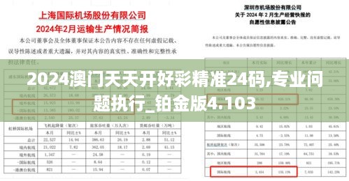 2024澳门天天开好彩精准24码,专业问题执行_铂金版4.103