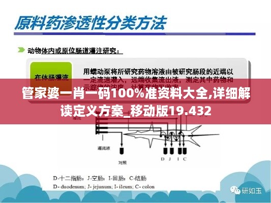 管家婆一肖一码100%准资料大全,详细解读定义方案_移动版19.432