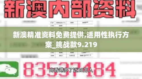 新澳精准资料免费提供,适用性执行方案_挑战款9.219