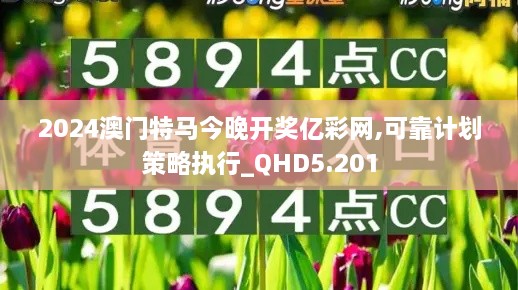 2024澳门特马今晚开奖亿彩网,可靠计划策略执行_QHD5.201