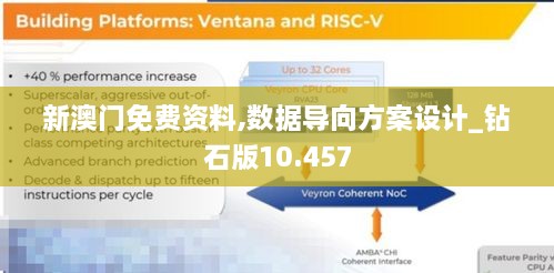 2024年12月17日 第41页