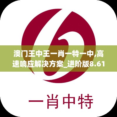 澳门王中王一肖一特一中,高速响应解决方案_进阶版8.613