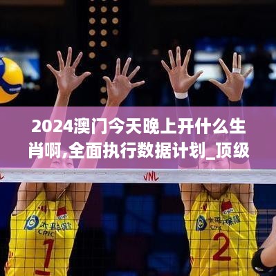 2024澳门今天晚上开什么生肖啊,全面执行数据计划_顶级款10.847