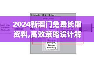 2024年12月17日 第37页