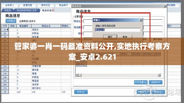 管家婆一肖一码最准资料公开,实地执行考察方案_安卓2.621