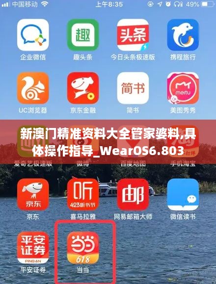 新澳门精准资料大全管家婆料,具体操作指导_WearOS6.803