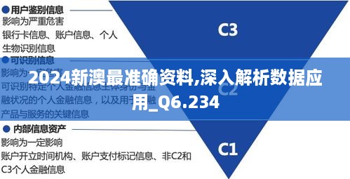 2024新澳最准确资料,深入解析数据应用_Q6.234