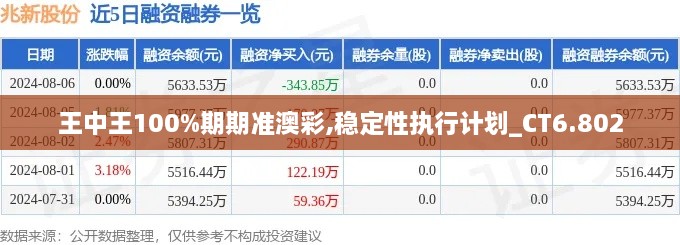 王中王100%期期准澳彩,稳定性执行计划_CT6.802