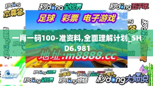 一肖一码100-准资料,全面理解计划_SHD6.981