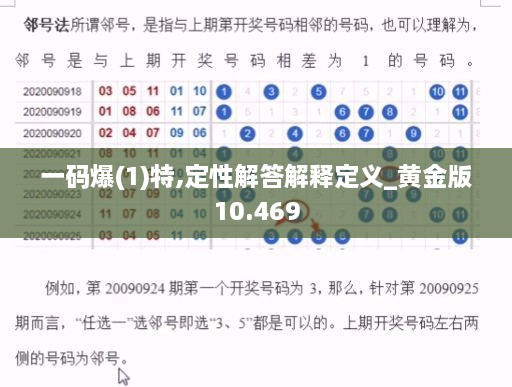 2024年12月17日 第28页